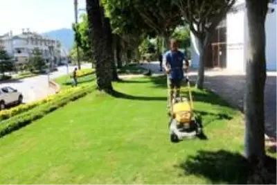 Büyükşehir, Kemer'de yeşil alanların bakımını yapıyor Büyükşehir, Kemer'de yeşil alanların bakımını yapıyor