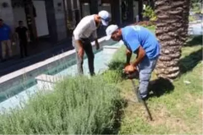 Büyükşehir, Kemer'de yeşil alanların bakımını yapıyor Büyükşehir, Kemer'de yeşil alanların bakımını yapıyor