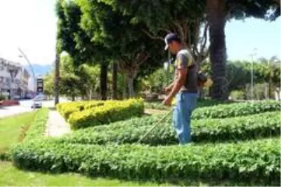 Büyükşehir, Kemer'de yeşil alanların bakımını yapıyor Büyükşehir, Kemer'de yeşil alanların bakımını yapıyor