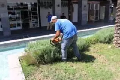 Büyükşehir, Kemer'de yeşil alanların bakımını yapıyor Büyükşehir, Kemer'de yeşil alanların bakımını yapıyor