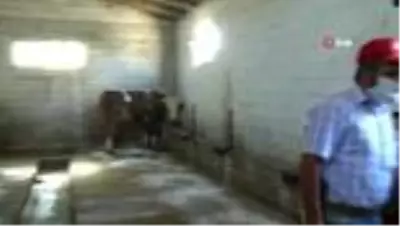Erzurum'da işsiz kalan eski hükümlüye devlet sahip çıktı Erzurum'da işsiz kalan eski hükümlüye devlet sahip çıktı