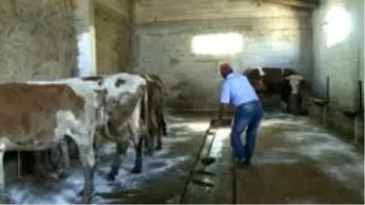 Erzurum'da işsiz kalan eski hükümlüye devlet sahip çıktı Erzurum'da işsiz kalan eski hükümlüye devlet sahip çıktı