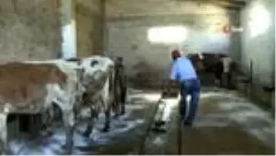 Erzurum'da işsiz kalan eski hükümlüye devlet sahip çıktı Erzurum'da işsiz kalan eski hükümlüye devlet sahip çıktı