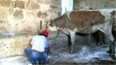 Erzurum'da işsiz kalan eski hükümlüye devlet sahip çıktı Erzurum'da işsiz kalan eski hükümlüye devlet sahip çıktı