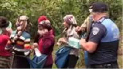 Son Dakika: Fındık işçilerine Kovid-19 denetimi Son Dakika: Fındık işçilerine Kovid-19 denetimi