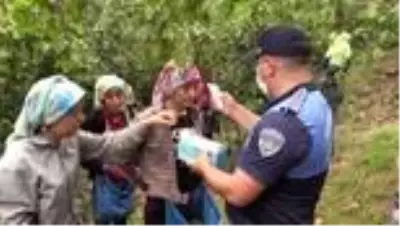 Son Dakika: Fındık işçilerine Kovid-19 denetimi Son Dakika: Fındık işçilerine Kovid-19 denetimi