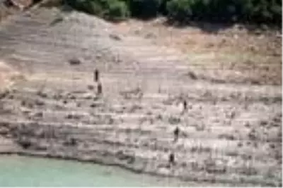 Son dakika haberi | Gülistan Doku için özel harekattan karada arama çalışması Son dakika haberi | Gülistan Doku için özel harekattan karada arama çalışması