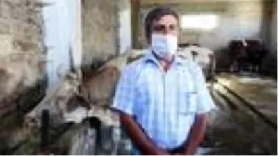 Hibe edilen 4 inekle işsizlikten kurtulan eski hükümlü: Yanlış yola sapmayın Hibe edilen 4 inekle işsizlikten kurtulan eski hükümlü: Yanlış yola sapmayın