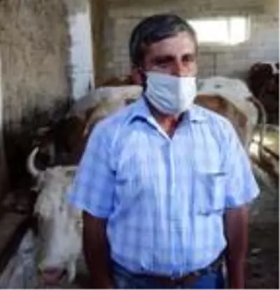 Hibe edilen 4 inekle işsizlikten kurtulan eski hükümlü: Yanlış yola sapmayın Hibe edilen 4 inekle işsizlikten kurtulan eski hükümlü: Yanlış yola sapmayın