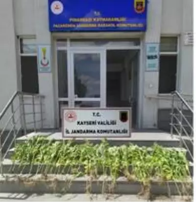 Son dakika haberi... Jandarma kenevir eken ve tarihi eser kaçakçılığı yapan şahısları yakaladı Son dakika haberi... Jandarma kenevir eken ve tarihi eser kaçakçılığı yapan şahısları yakaladı