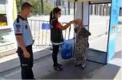 Kuşadası'nda kapalı pazar yeri ve plajlarda koronavirüs denetimi Kuşadası'nda kapalı pazar yeri ve plajlarda koronavirüs denetimi