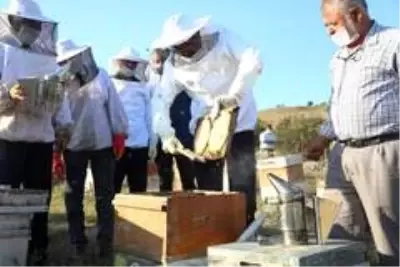 Kütahya'da 250 ton bal üretimi hedefleniyor Kütahya'da 250 ton bal üretimi hedefleniyor