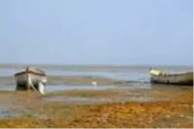 Son dakika haberleri | Marmara Gölü'nde su seviyesi sıfırlandı, balıkçılık durdu Son dakika haberleri | Marmara Gölü'nde su seviyesi sıfırlandı, balıkçılık durdu