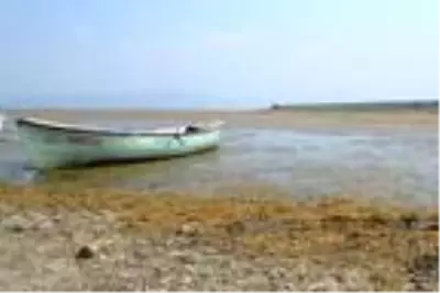 Son dakika haberleri | Marmara Gölü'nde su seviyesi sıfırlandı, balıkçılık durdu Son dakika haberleri | Marmara Gölü'nde su seviyesi sıfırlandı, balıkçılık durdu