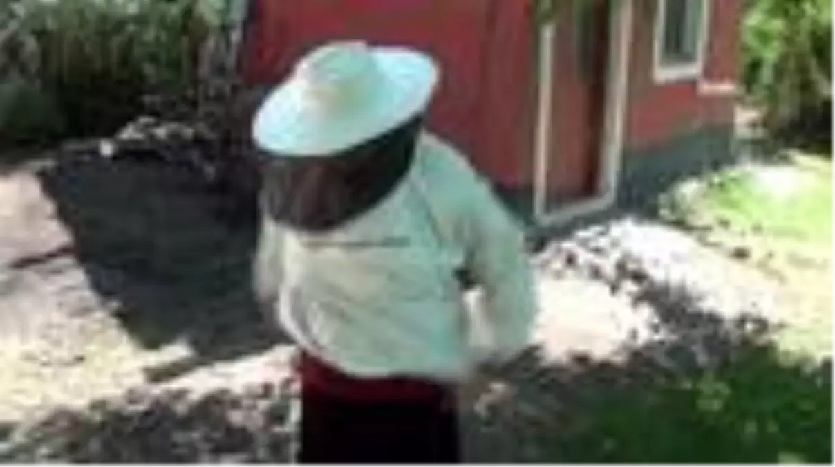 Son Dakika | Organik balın Hanım ağası yılda 1.5 ton bal üretiyor