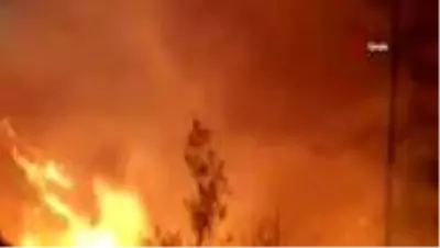 Son dakika haber... Ormanın yangın savaşçıları 7/24 tetikte Son dakika haber... Ormanın yangın savaşçıları 7/24 tetikte