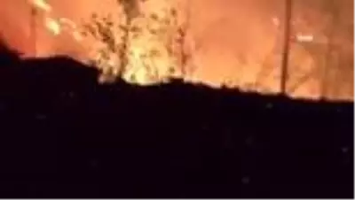 Son dakika haber... Ormanın yangın savaşçıları 7/24 tetikte Son dakika haber... Ormanın yangın savaşçıları 7/24 tetikte