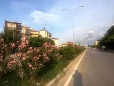 Osmaneli'nde peyzaj ve çevre düzenleme çalışmalarında sona gelindi Osmaneli'nde peyzaj ve çevre düzenleme çalışmalarında sona gelindi