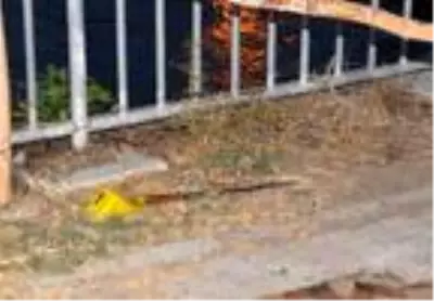 Salçacı kardeşlerin bıçaklı kavgası: 2 yaralı Salçacı kardeşlerin bıçaklı kavgası: 2 yaralı