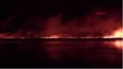 Samsun'da sazlıkta çıkan yangın ormana sıçradı Samsun'da sazlıkta çıkan yangın ormana sıçradı
