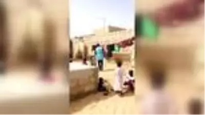 TDV, bayramda 295 bin Senegalliye kurban eti dağıttı TDV, bayramda 295 bin Senegalliye kurban eti dağıttı