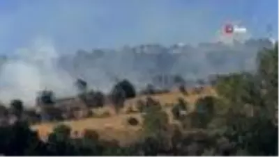 Son dakika haberleri! Yozgat'ta çıkan ot ve çalılık yangını korkuttu Son dakika haberleri! Yozgat'ta çıkan ot ve çalılık yangını korkuttu