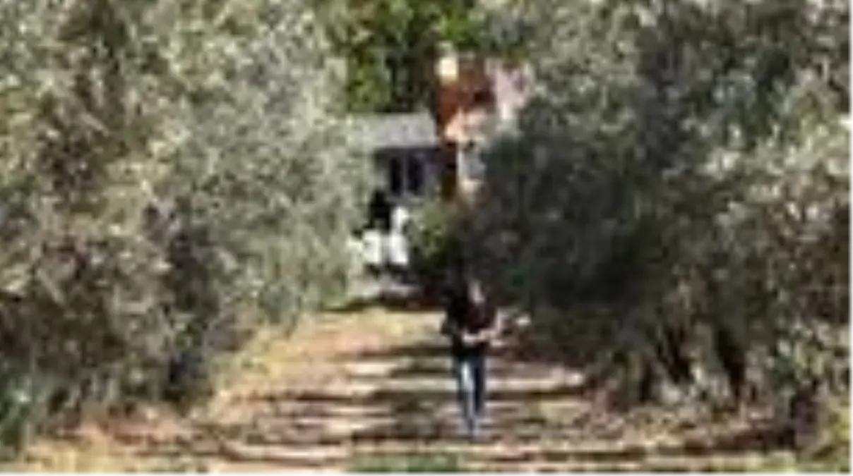 4 aydır aranan kişinin cesedi foseptik çukurunda bulundu