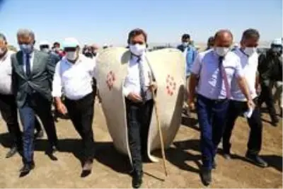 Aksaray'da koyun sürüsüne koç katımı yapıldı Aksaray'da koyun sürüsüne koç katımı yapıldı