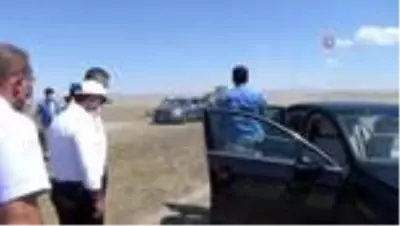 Aksaray'da koyun sürüsüne koç katımı yapıldı