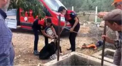 Son dakika haberi: Alev savaşçılarının can kurtarma operasyonu Son dakika haberi: Alev savaşçılarının can kurtarma operasyonu