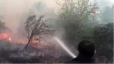 Son dakika haberi: Amasya'da yangın: 5 dönüm alan zarar gördü Son dakika haberi: Amasya'da yangın: 5 dönüm alan zarar gördü