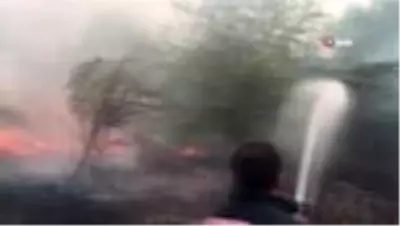 Son dakika haberi: Amasya'da yangın: 5 dönüm alan zarar gördü Son dakika haberi: Amasya'da yangın: 5 dönüm alan zarar gördü