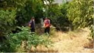 Son Dakika | Bahçede mahsur kalan 50 kaplumbağayı itfaiye kurtardı Son Dakika | Bahçede mahsur kalan 50 kaplumbağayı itfaiye kurtardı