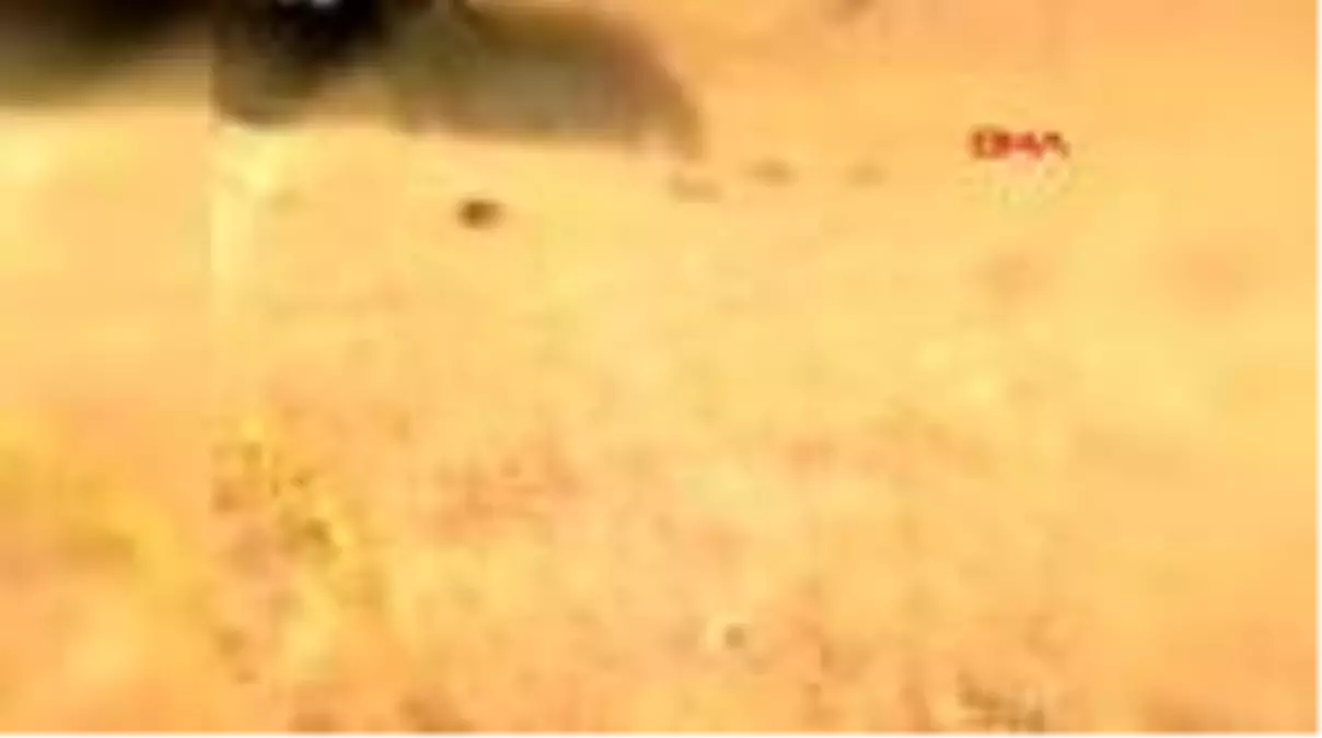 Son dakika haberi! Batman kırsalında çıkan yangın kontrol altına alındı