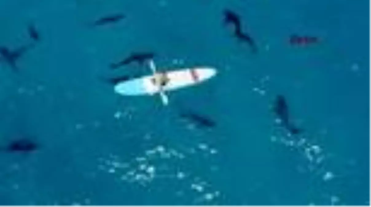 Bermuda Adaları'nda yaşayan Youtuber'dan tehlikeli deney