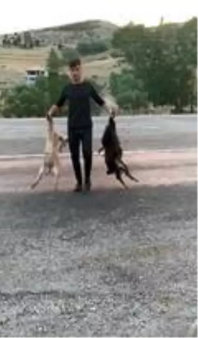 Besicinin hız ve alt geçit isyanı Besicinin hız ve alt geçit isyanı