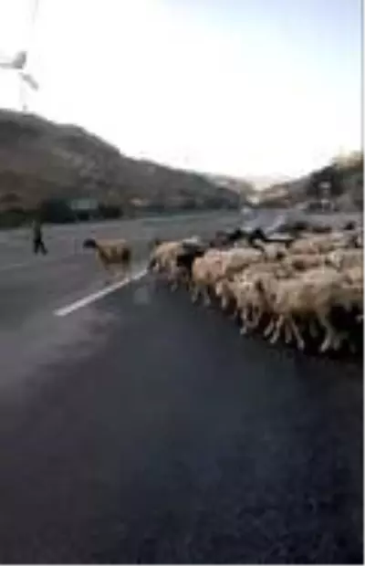 Besicinin hız ve alt geçit isyanı Besicinin hız ve alt geçit isyanı