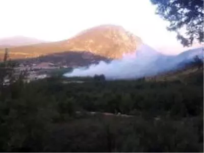 Son dakika haberi... Bilecik'te orman yangını Son dakika haberi... Bilecik'te orman yangını