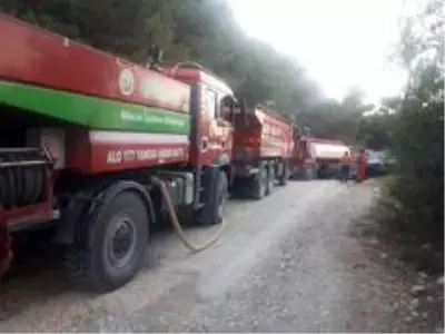 Son dakika haberi... Bilecik'te orman yangını Son dakika haberi... Bilecik'te orman yangını