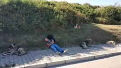 Can dostlarından 'ibretlik' hareket Can dostlarından 'ibretlik' hareket