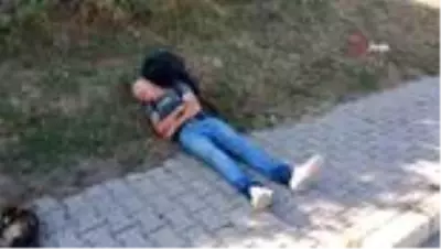 Can dostlarından 'ibretlik' hareket Can dostlarından 'ibretlik' hareket