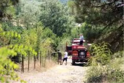 Son dakika haber! Düzce'de orman yangını: 4 hektar alan kül oldu Son dakika haber! Düzce'de orman yangını: 4 hektar alan kül oldu