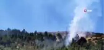 İslahiye İlçesi: Son dakika 3. sayfa: Gaziantep'te orman yangını: 5 dekarlık alan kül oldu İslahiye İlçesi: Son dakika 3. sayfa: Gaziantep'te orman yangını: 5 dekarlık alan kül oldu