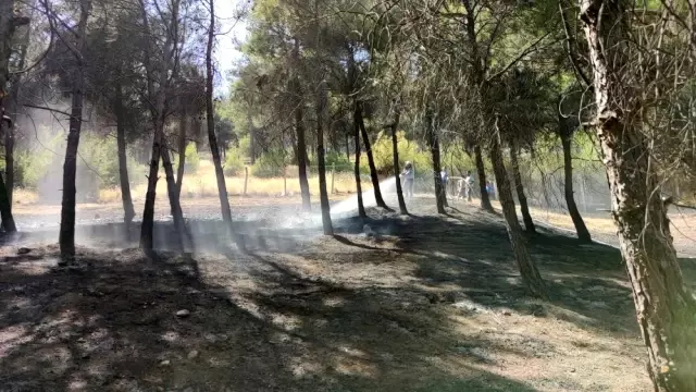 Son dakika haberi! Gaziantep'te orman yangını - Gaziantep