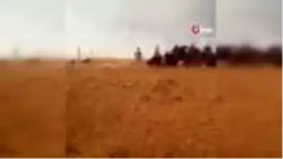 - Gercüş'te 500 dönüm tarım arazisi yandı - Gercüş'te 500 dönüm tarım arazisi yandı