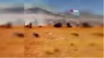 - Gercüş'te 500 dönüm tarım arazisi yandı - Gercüş'te 500 dönüm tarım arazisi yandı