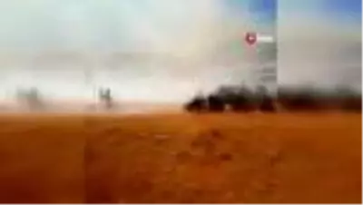 - Gercüş'te 500 dönüm tarım arazisi yandı - Gercüş'te 500 dönüm tarım arazisi yandı