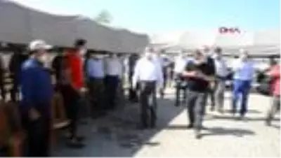 HATAY Kırıkhan'da besicilere damızlık koç dağıtıldı HATAY Kırıkhan'da besicilere damızlık koç dağıtıldı