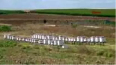 İSTANBUL Silivri Belediyesi 450 kilo doğal bal üretti İSTANBUL Silivri Belediyesi 450 kilo doğal bal üretti