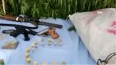 Son dakika haberleri... Jandarmadan büyük operasyon: 3 bin 210 kök hint keneviri ele geçirildi Son dakika haberleri... Jandarmadan büyük operasyon: 3 bin 210 kök hint keneviri ele geçirildi